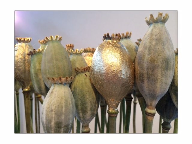 Menschen mit Format - Blumen