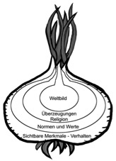 Zwiebel 1