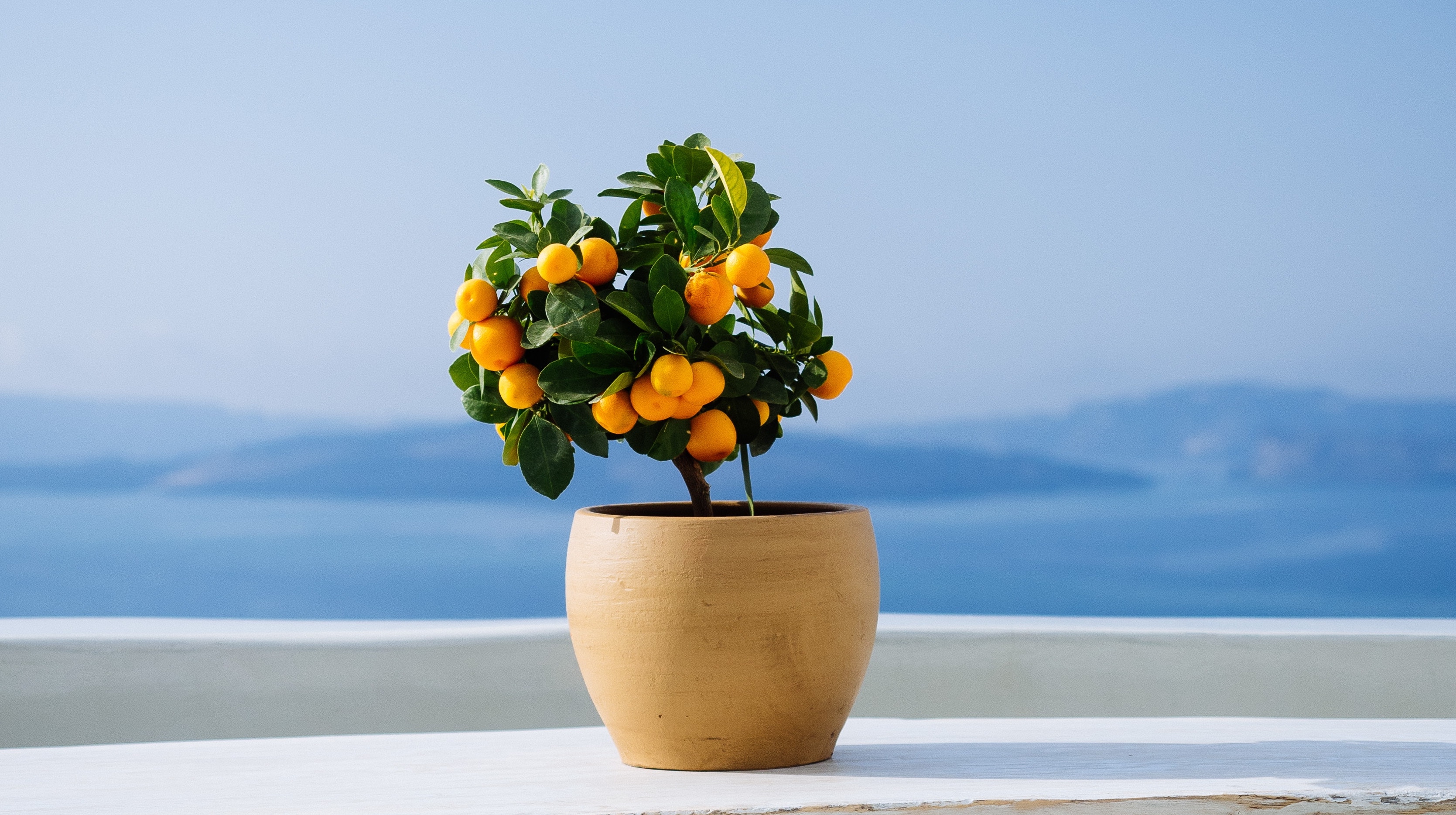 tom-grimbert-665115-unsplash